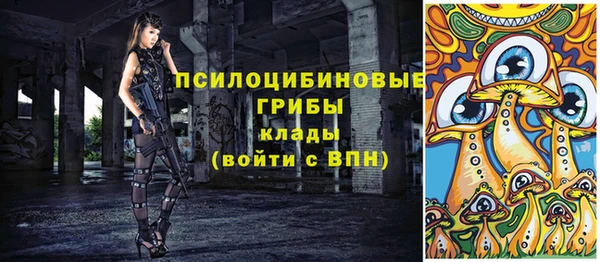 трава Белокуриха