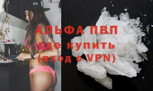 таблы Богданович