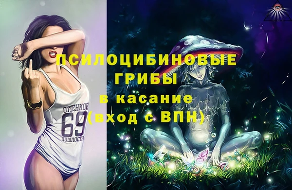 таблы Богданович