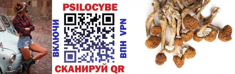 Галлюциногенные грибы ЛСД Нижний Тагил